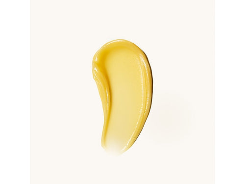 AKAR Skincare Nourish Lip Butter